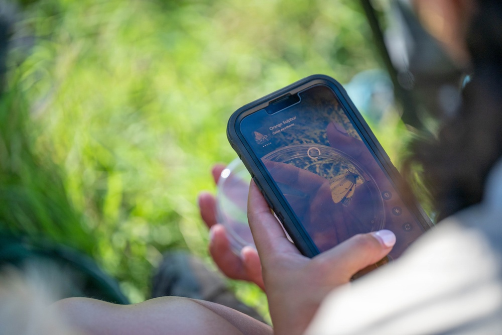Bees, butterflies, and biodiversity: The 2nd annual Altus AFB BioBlitz