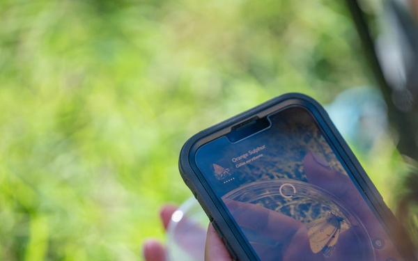 Bees, butterflies, and biodiversity: The 2nd annual Altus AFB BioBlitz