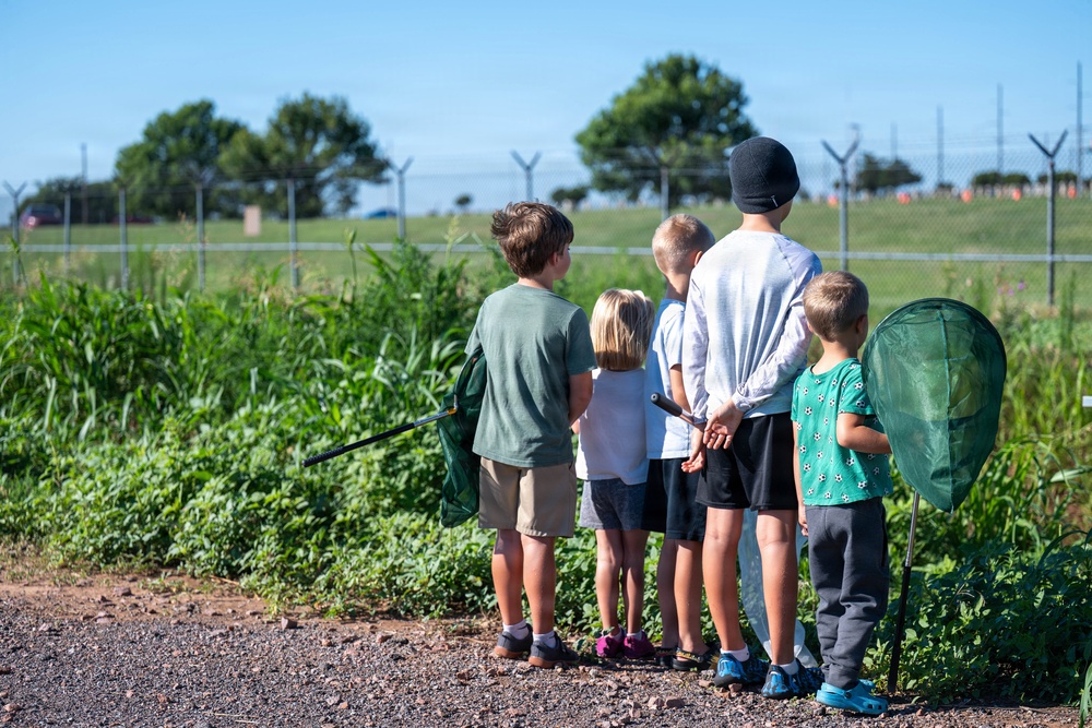 Bees, butterflies, and biodiversity: The 2nd annual Altus AFB BioBlitz