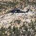 Ancient Ascent | National Guard aviators from Utah and Nevada take on mission of prehistoric proportions