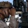 U.S. Marines with 3/11 hold Jane Wayne Day at MCAGCC
