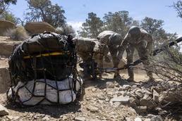 Ancient Ascent | National Guard aviators from Utah and Nevada take on mission of prehistoric proportions