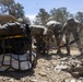 Ancient Ascent | National Guard aviators from Utah and Nevada take on mission of prehistoric proportions