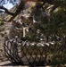 Ancient Ascent | National Guard aviators from Utah and Nevada take on mission of prehistoric proportions
