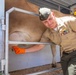 GOT MILK?: MCAS Miramar and MCCS hosts an event at the 2026 San Diego County Fair