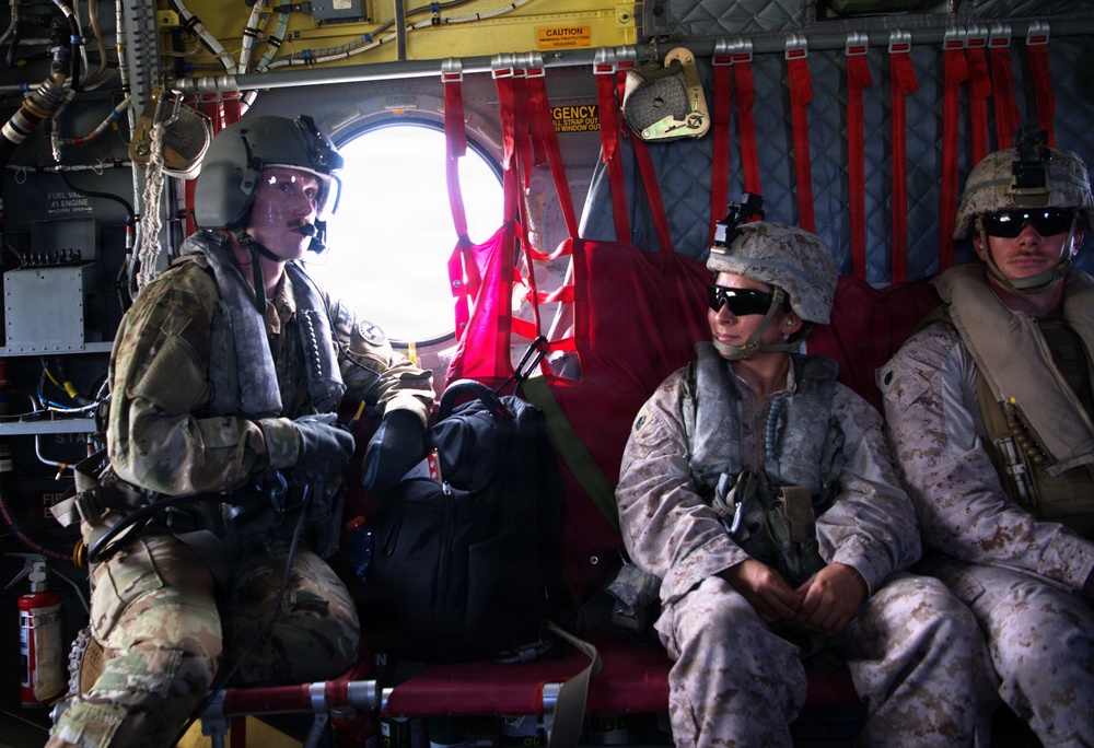 Chinook Flight