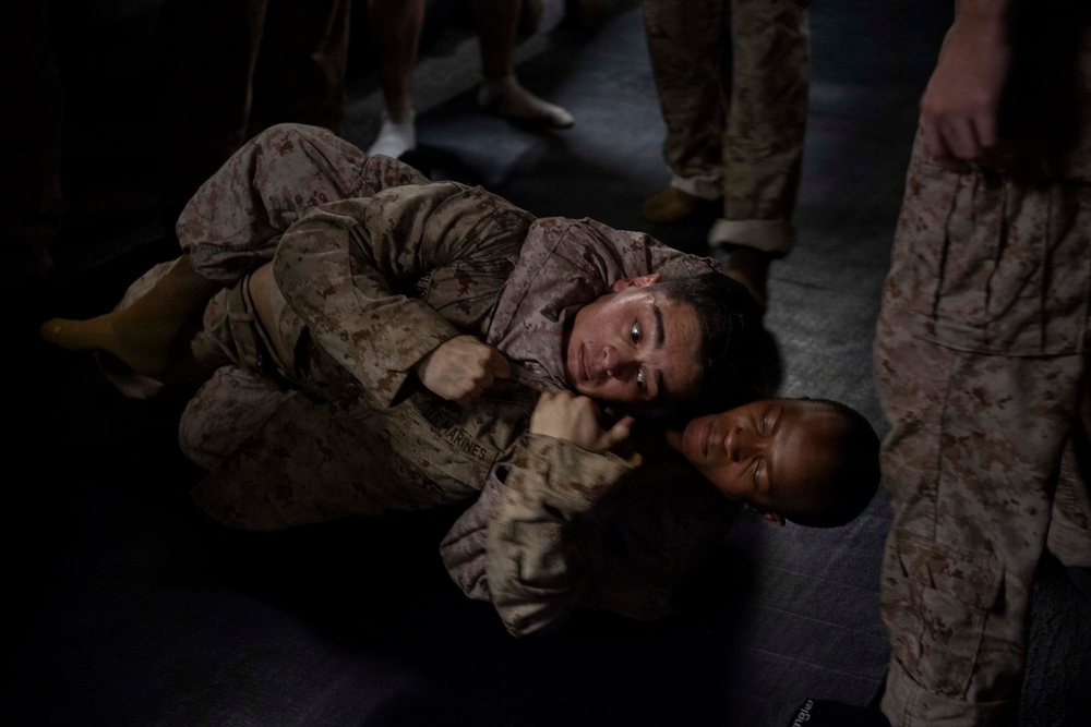 U.S. Marines Conduct MCMAP Training Aboard USS Boxer