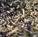 U.S., ROK, Mexican Marines conduct live-fire range