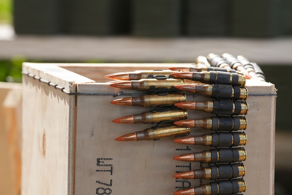 U.S., ROK, Mexican Marines conduct live-fire range