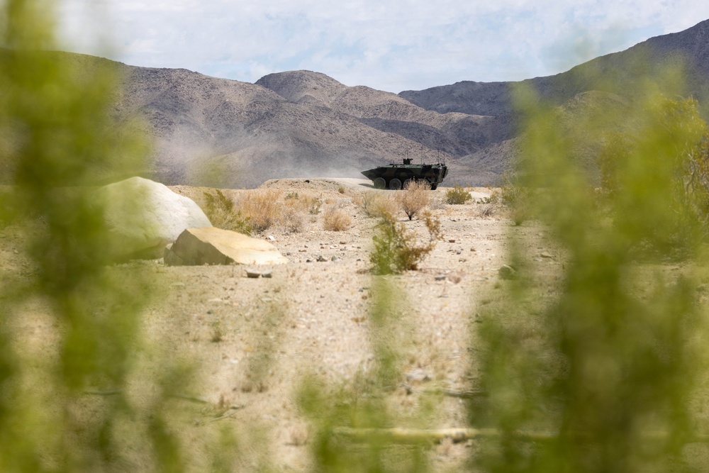 U.S. Marines with 3d AA Bn. conduct live-fire range
