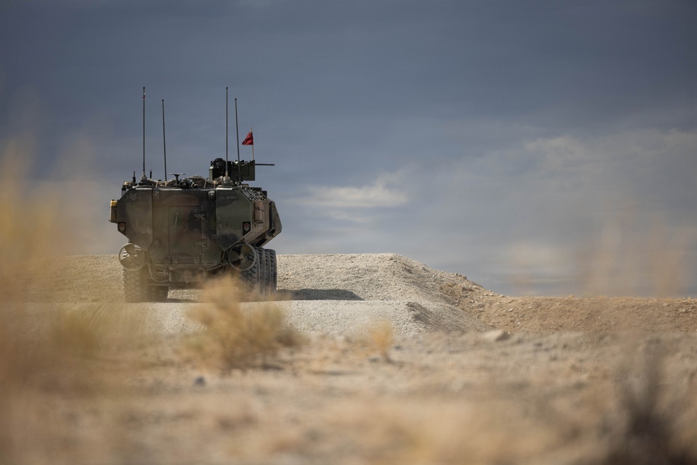 U.S. Marines with 3d AA Bn. conduct live-fire range