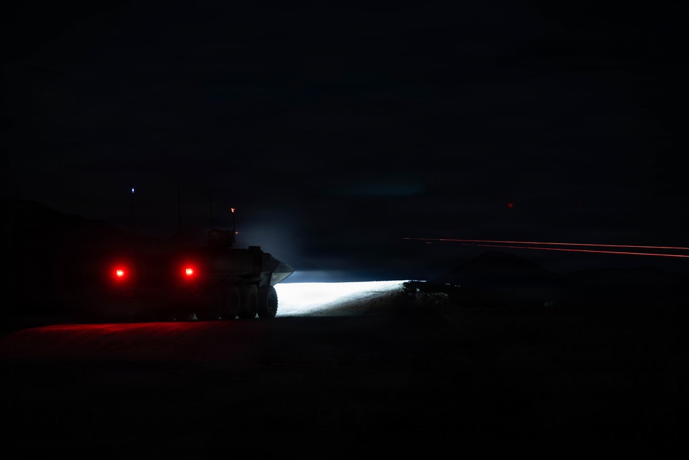 U.S. Marines with 3d AA Bn. conduct live-fire range