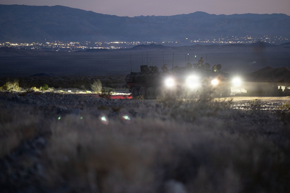 U.S. Marines with 3d AA Bn. participate in live-fire range