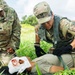 Valiant Shield Sharpens Medical Readiness