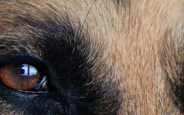 LCF-24: Disaster Assistance Coordination and Insert of USAR