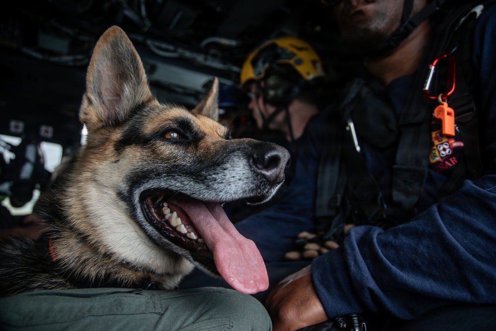 LCF-24: Disaster Assistance Coordination and Insert of USAR