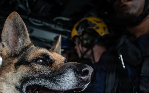 LCF-24: Disaster Assistance Coordination and Insert of USAR