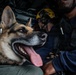 LCF-24: Disaster Assistance Coordination and Insert of USAR
