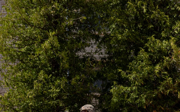 U.S. Marines host Corporals Course in Baltic Sea region