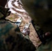 U.S. Marine Corps explosive ordnance disposal technicians engage with international media in Latvia