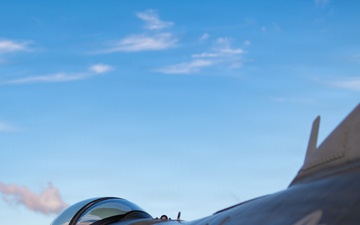 Blacksnakes await the call of duty