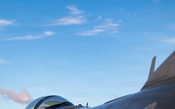 Blacksnakes await the call of duty