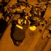 USS George H.W. Bush Sailors Perform Aircraft Maintenance