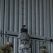 Philippine service members demonstrate joint vessel boarding during RIMPAC 2026