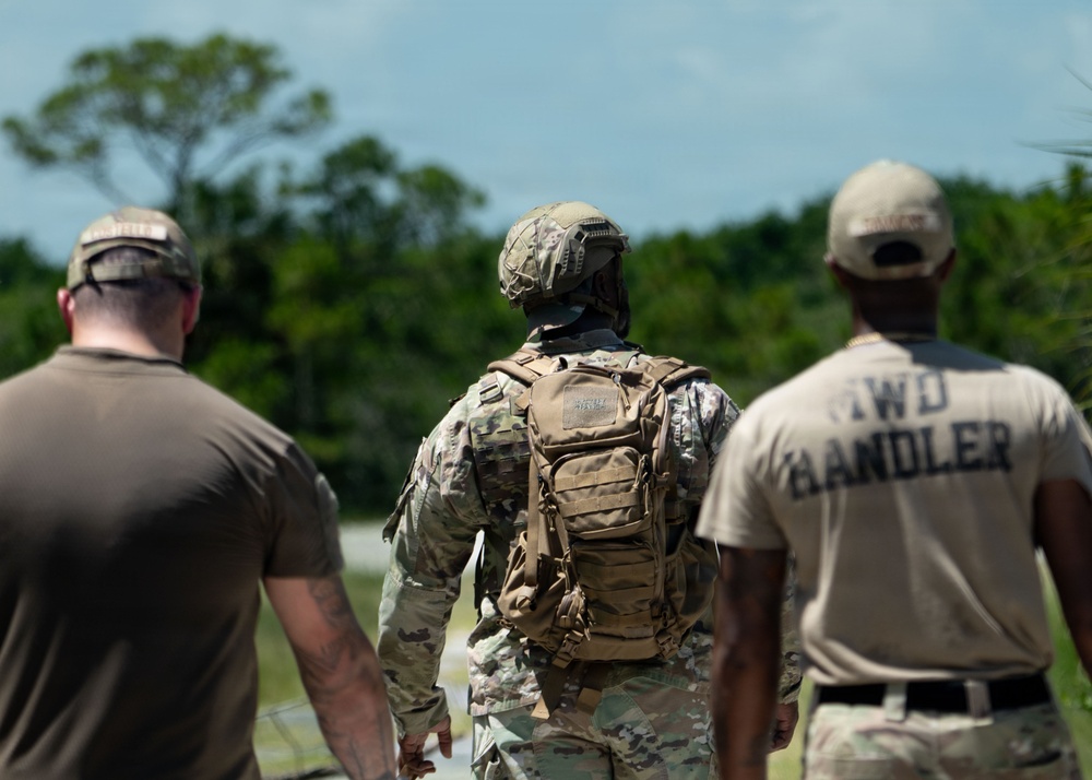 Detection in Action: 6th EOD and SFS K-9 team up for explosive detection