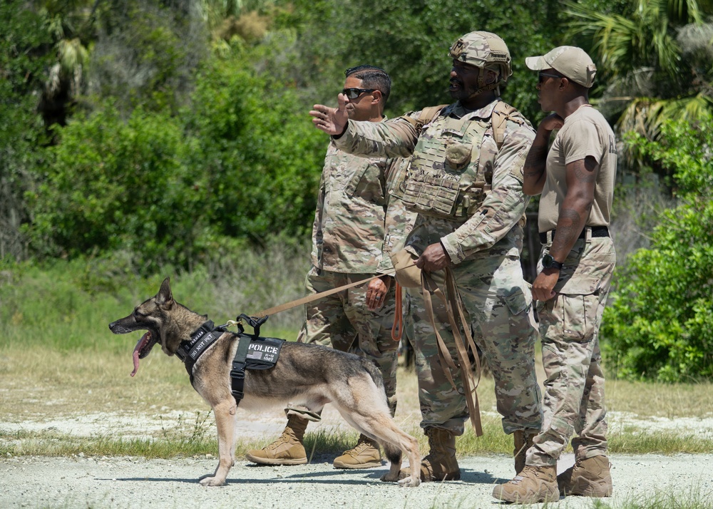 Detection in Action: 6th EOD and SFS K-9 team up for explosive detection