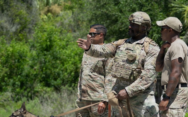 Detection in Action: 6th EOD and SFS K-9 team up for explosive detection