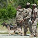 Detection in Action: 6th EOD and SFS K-9 team up for explosive detection