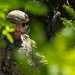Detection in Action: 6th EOD and SFS K-9 team up for explosive detection