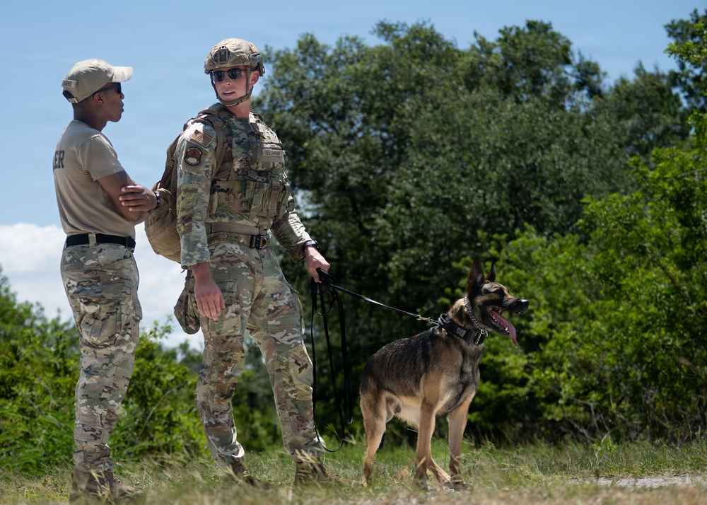 Detection in Action: 6th EOD and SFS K-9 team up for explosive detection