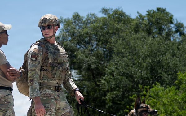 Detection in Action: 6th EOD and SFS K-9 team up for explosive detection