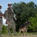 Detection in Action: 6th EOD and SFS K-9 team up for explosive detection