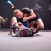 District of Columbia National Guard’s Combatives Program at Heroes on the Mat