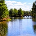Fort McCoy's Pine View Campground
