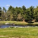 Fort McCoy's Pine View Campground