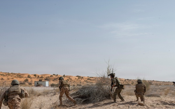 U.S. Special Forces, Mauritanian Armed Forces conduct strategic security initiative