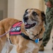 CFAY IT Drill Morale Boost
