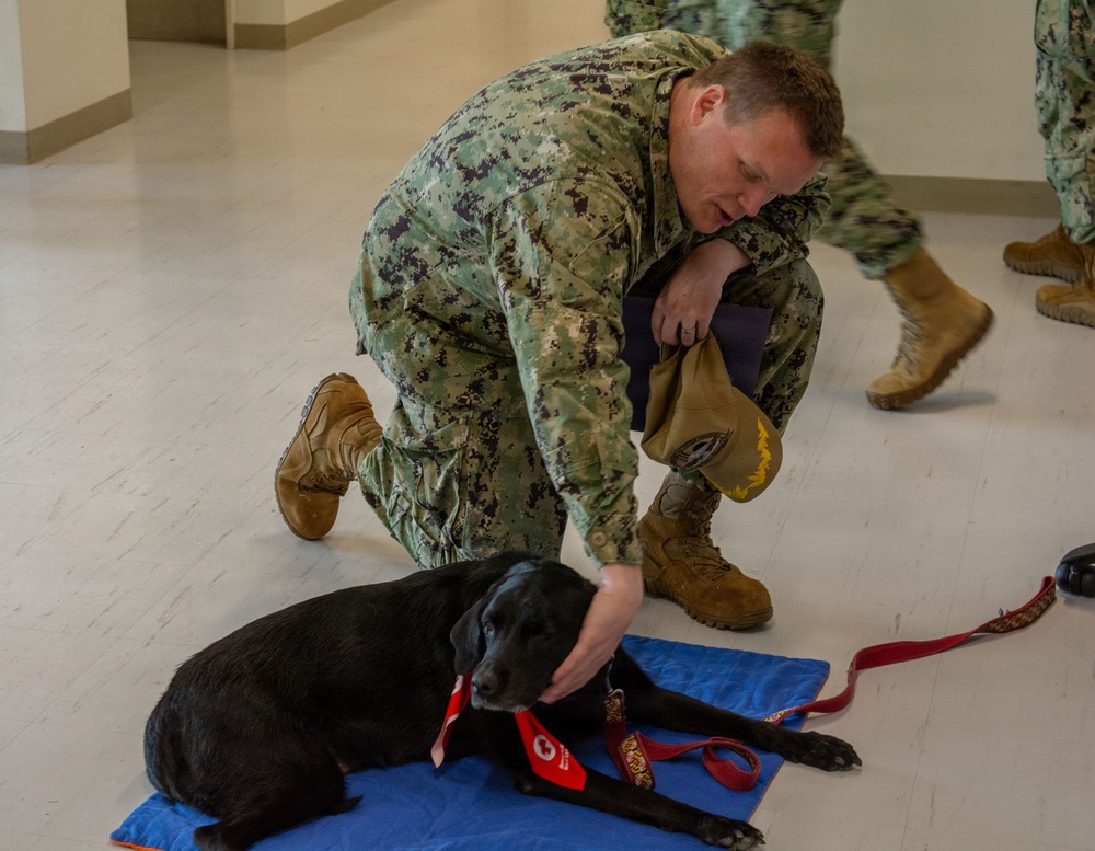 CFAY IT Drill Morale Boost