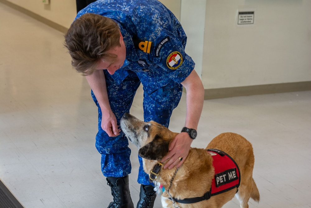 CFAY IT Drill Morale Boost