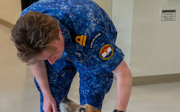 CFAY IT Drill Morale Boost