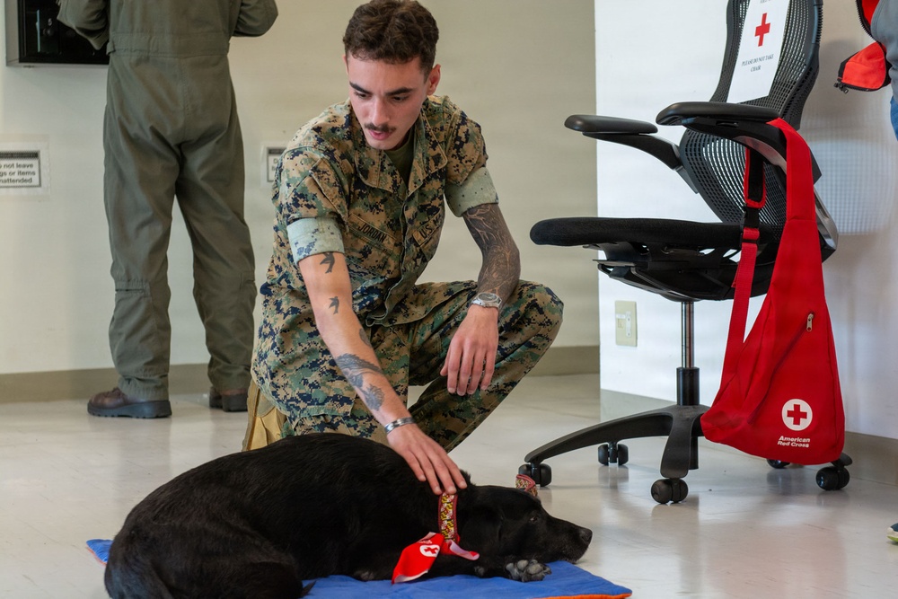 CFAY IT Drill Morale Boost