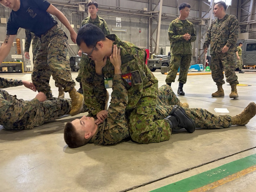 U.S., Japan service members practice MCMAP