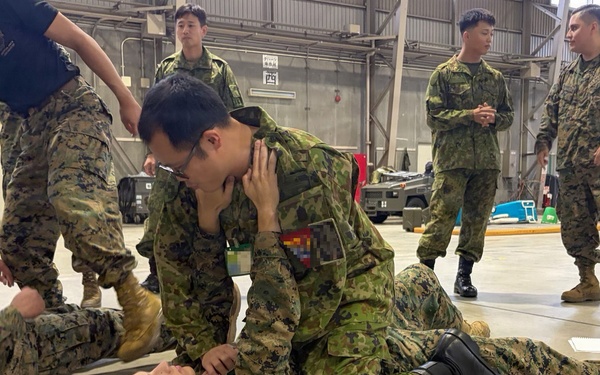 U.S., Japan service members practice MCMAP