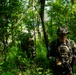 4-2 AB conducts Aerial Gunnery exercise