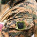 3rd Littoral Combat Team, Damage Control Resuscitation Team, and Phillippine marines conduct TCCC training during KAMANDAG 10
