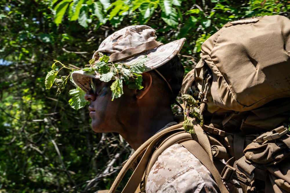 Fuji Viper 26.3 | U.S. Marines Conduct a Patrol Exercise